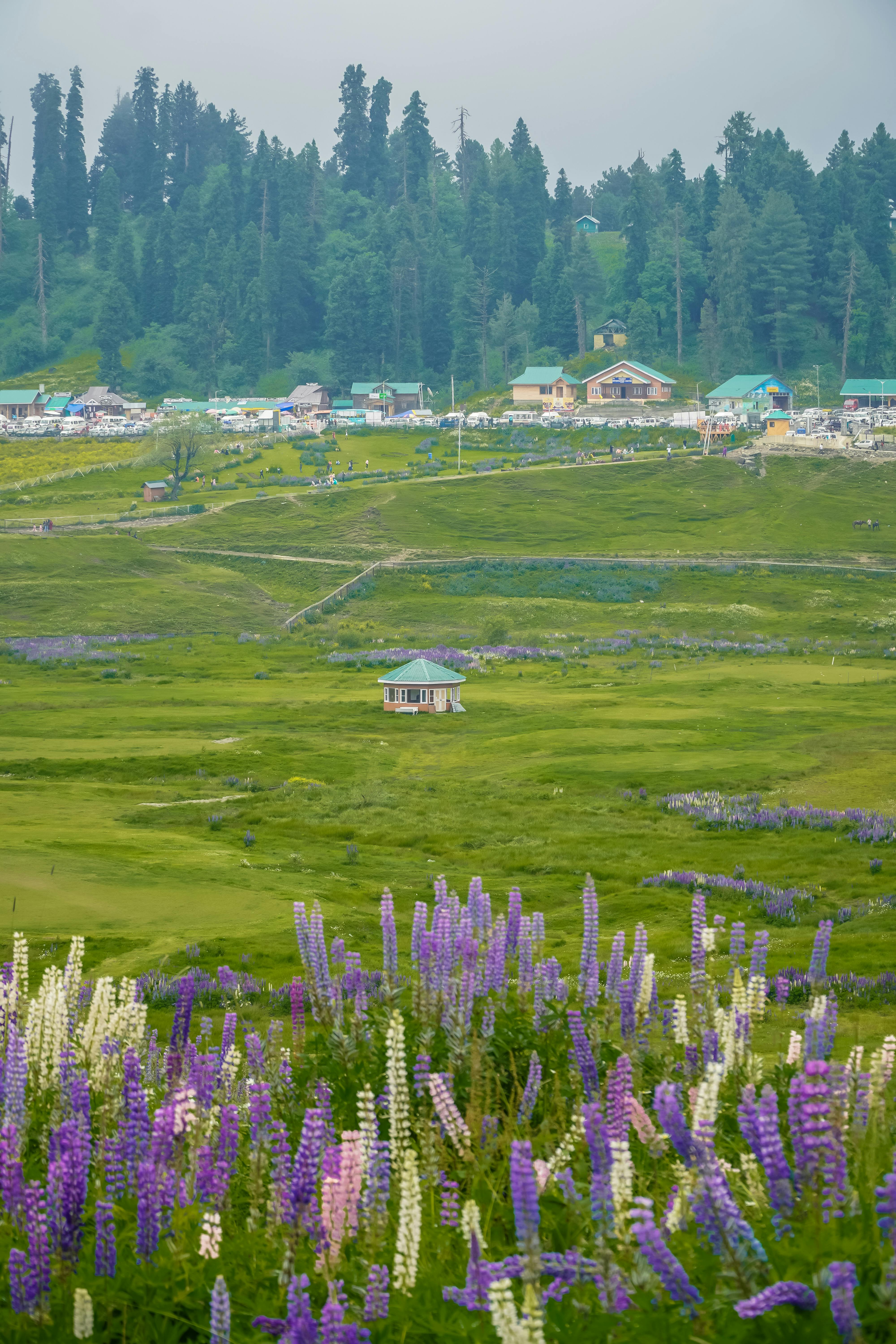 Gulzarg Trekking